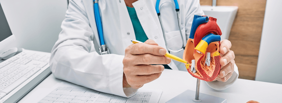 Cardiologia