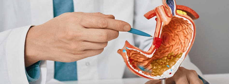 Gastroenterologia
