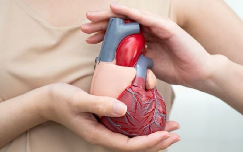 Insuficiência cardíaca: sintomas, causas e como é diagnosticada