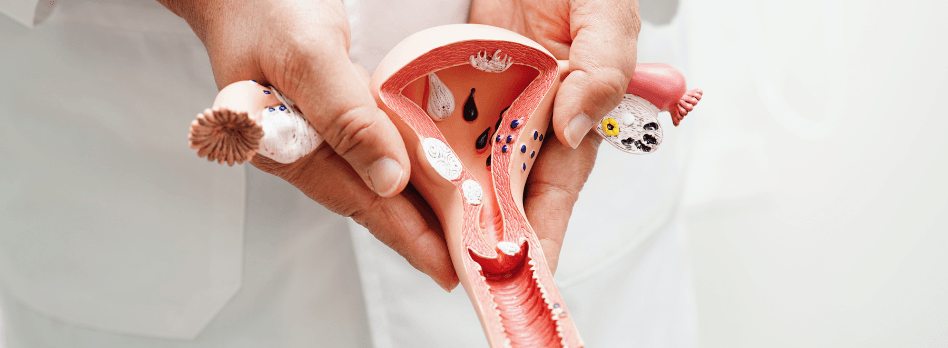 Ginecologia/Obstetrícia
