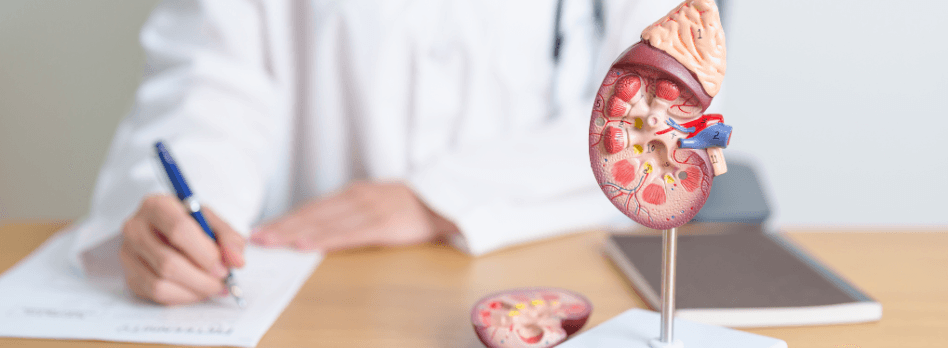 Urologia